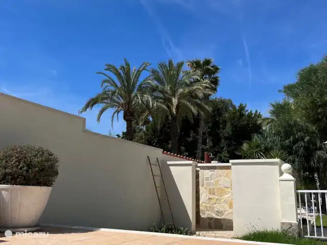 A Casa Mimosa | Espagne, Costa Blanca, Elche - villa Douche extérieure