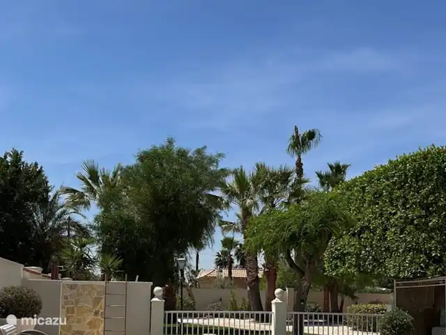 A Casa Mimosa | Espagne, Costa Blanca, Elche - villa Piscine