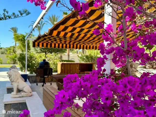 A Casa Mimosa | Espagne, Costa Blanca, Elche - villa Terrasse latérale avec canapé lounge (4,00 x 1,60), grande table pour 10 personnes et barbecue