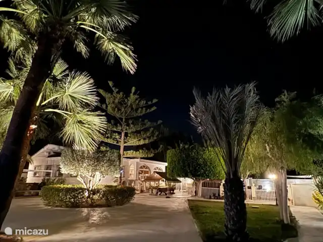 A Casa Mimosa | Espagne, Costa Blanca, Elche - villa La maison le soir