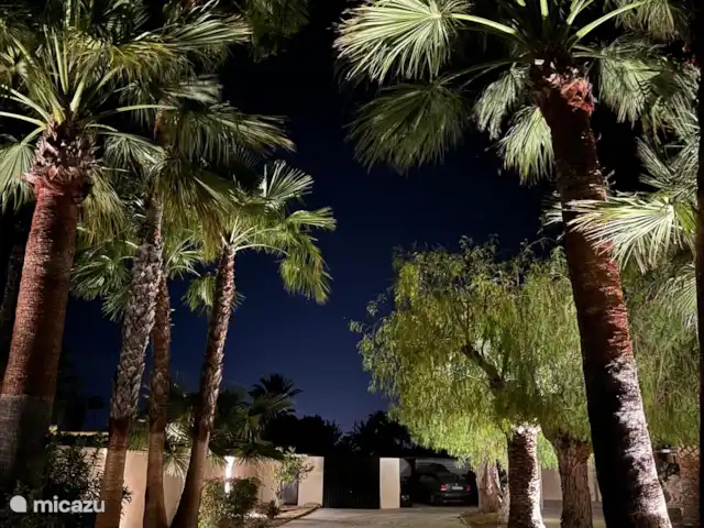 A Casa Mimosa | Espagne, Costa Blanca, Elche - villa Jardin magique