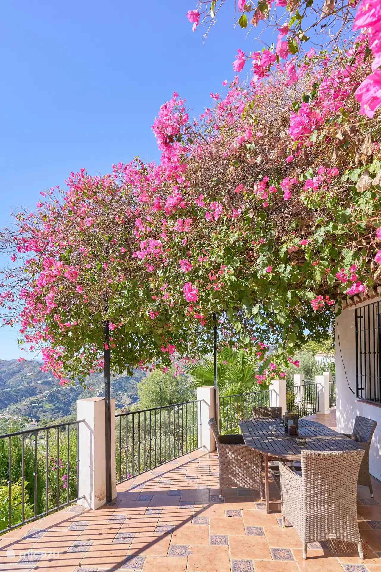 Esstisch unter der Bucanvilla aus einem anderen Blickwinkel