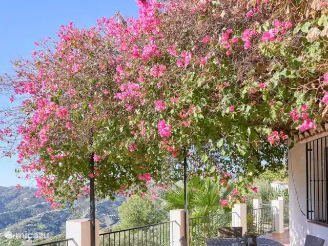 Casa Repisa en España, Andalucía, Cómpeta - villa Mesa de comedor bajo la Bucanvilla desde un ángulo diferente