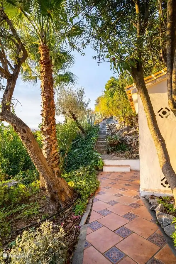 Terrasse hinter dem Haus mit Zugang zum Garten hinter dem Haus.