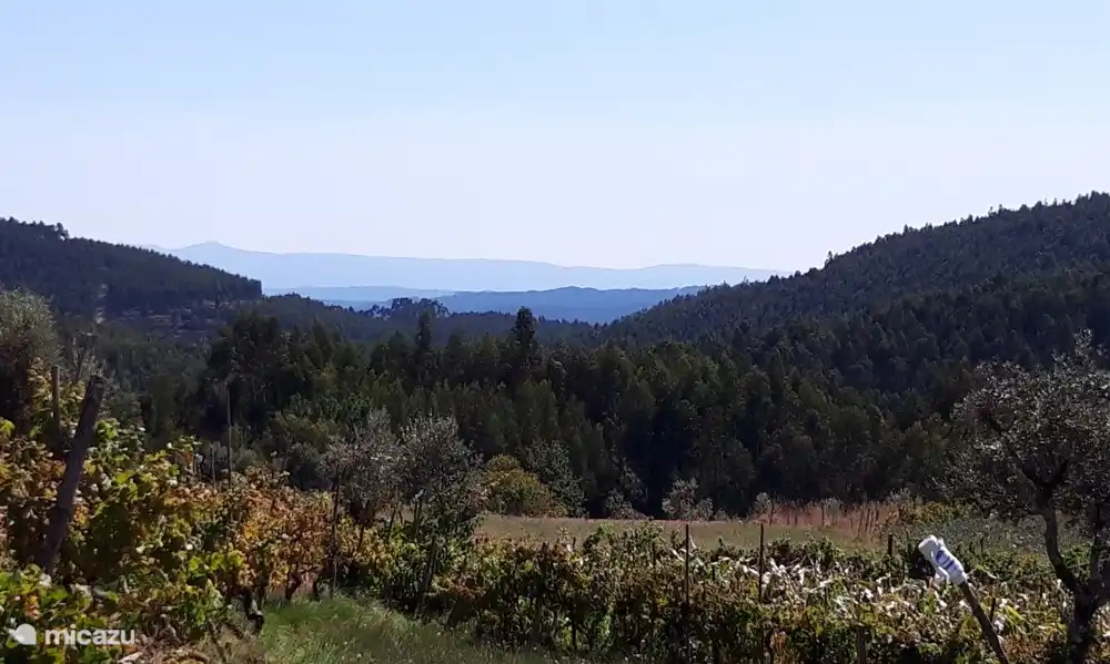An Tagen mit klarem Wetter kann man bis zu 50 Kilometer weit sehen