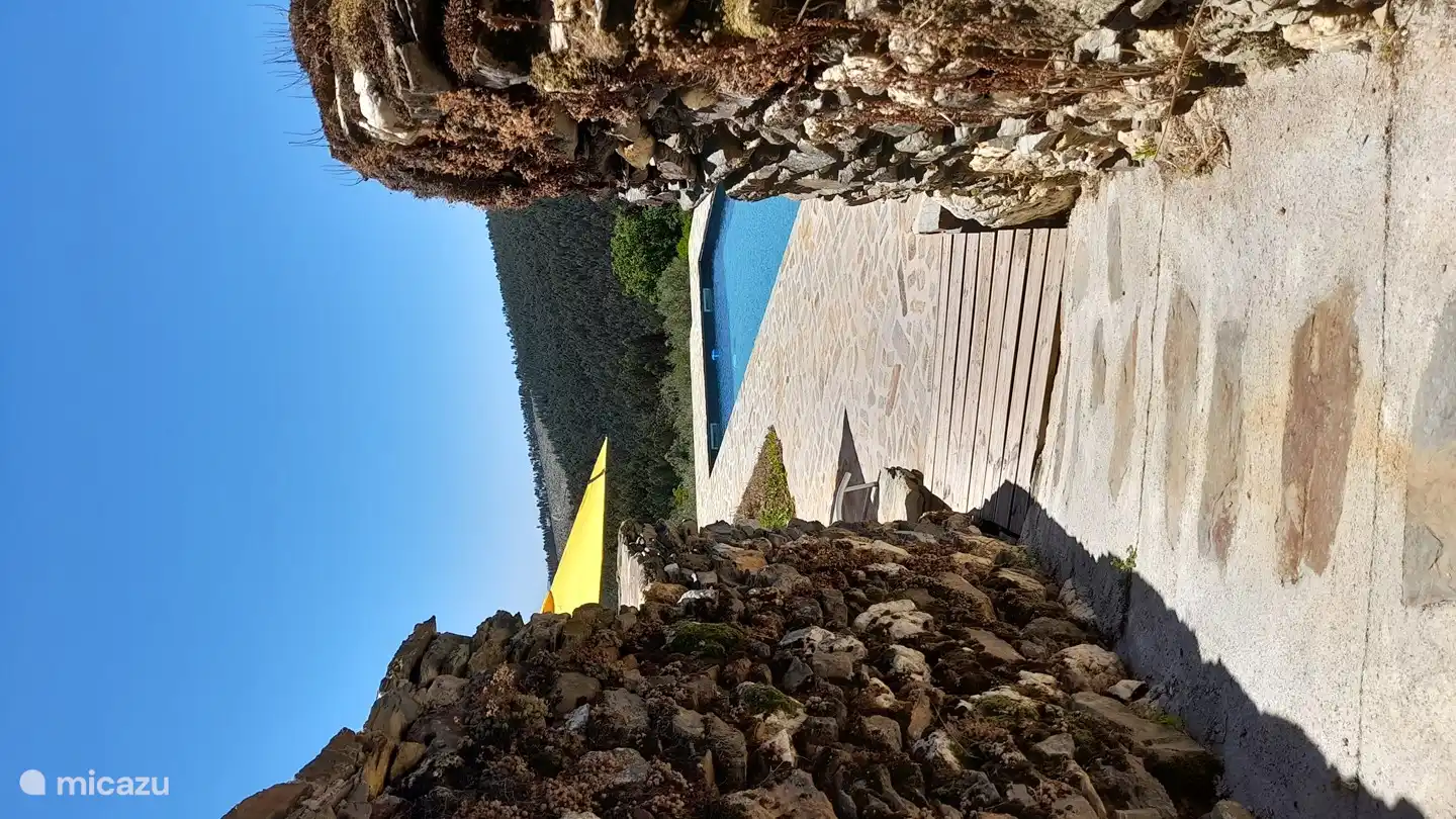 Blick vom Haus auf den Pool