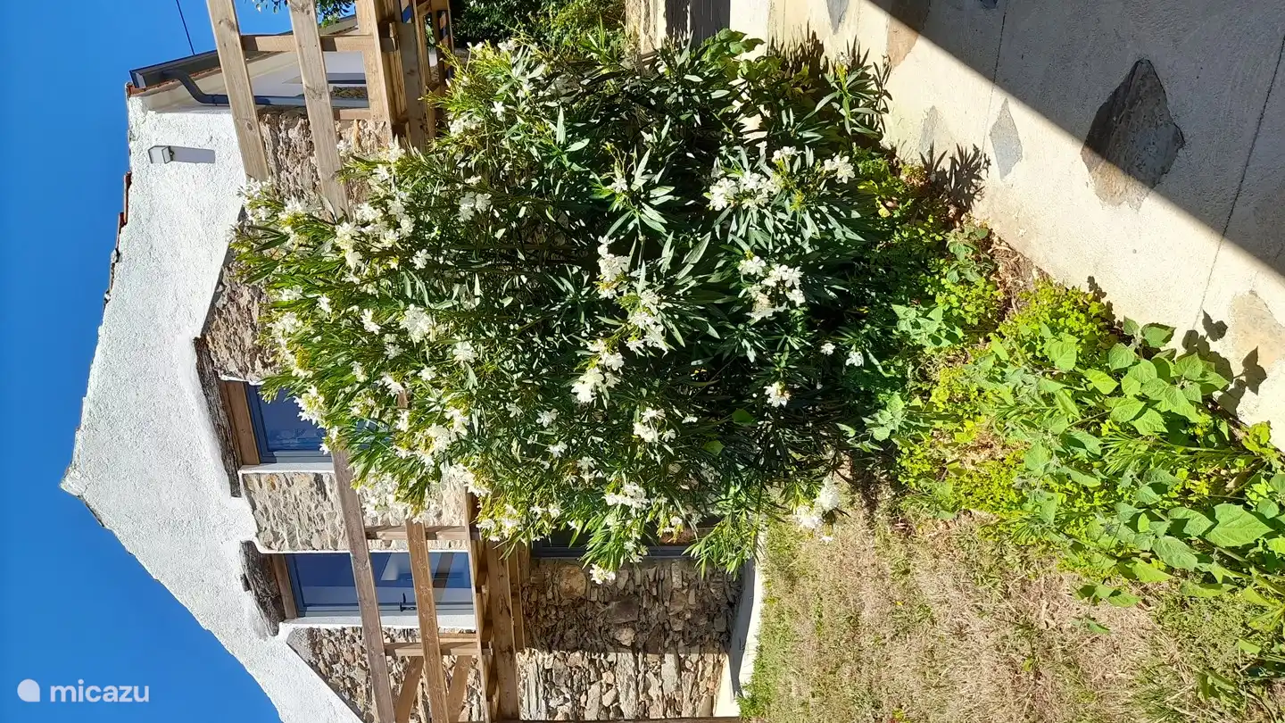 Das kleine Haus (Nebengebäude) mit zwei zusätzlichen Schlafzimmern und einem Spielbereich im Erdgeschoss