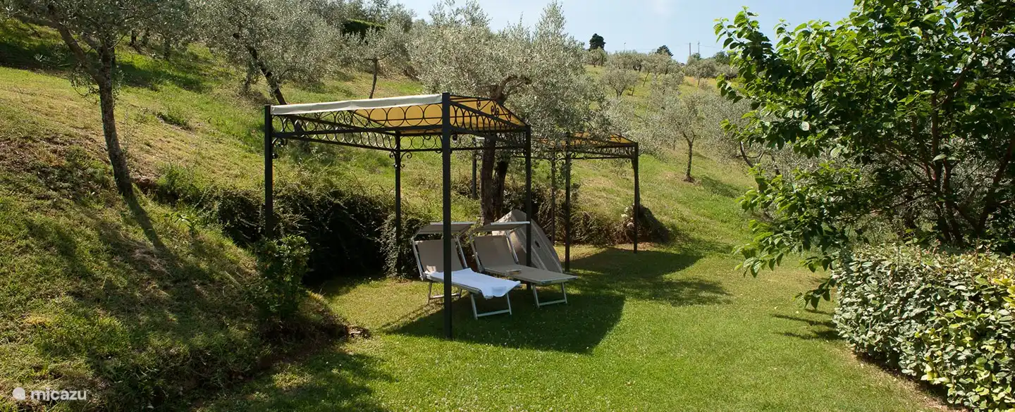 Jardín con tumbonas y mirador