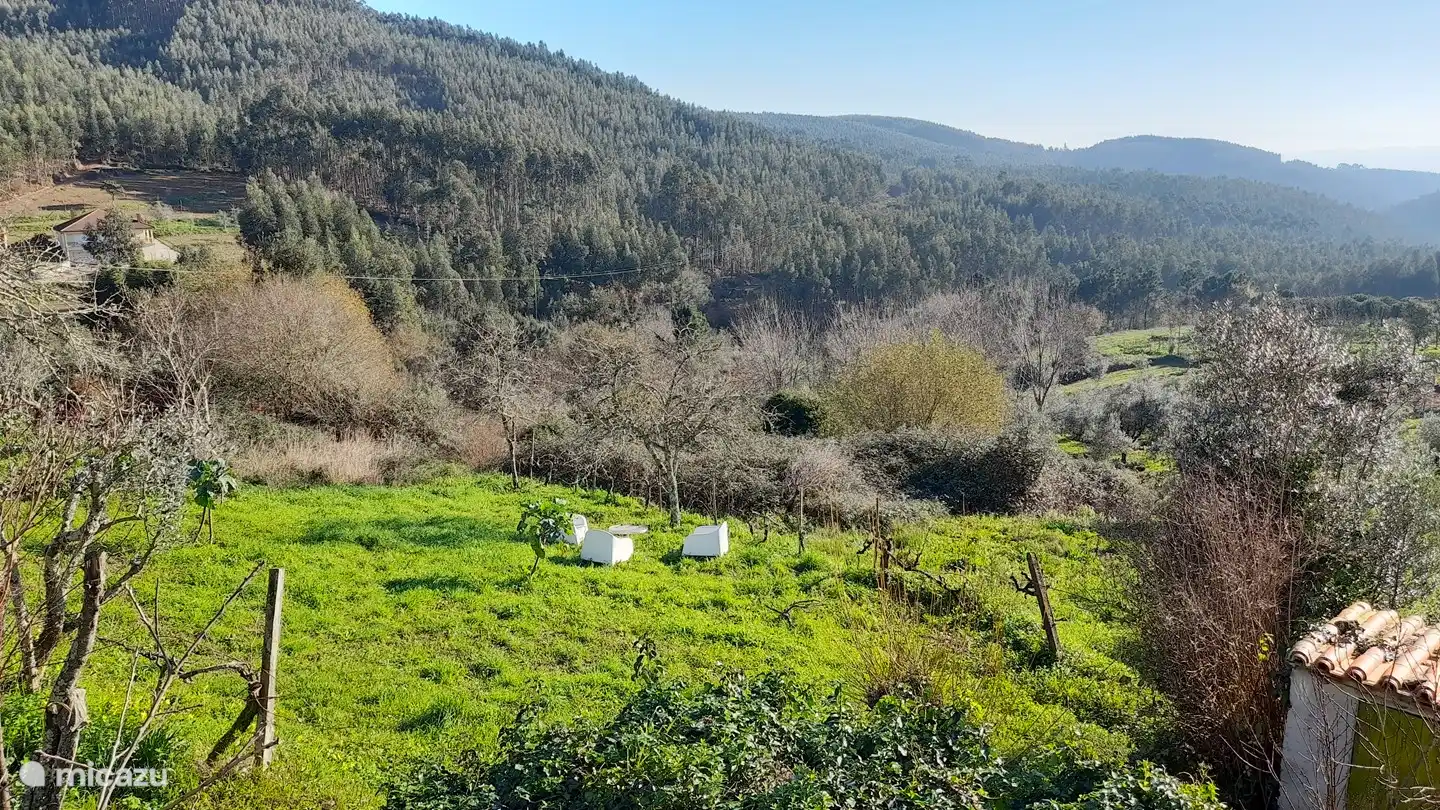 Il y a beaucoup d'endroits pour se détendre dans le grand jardin