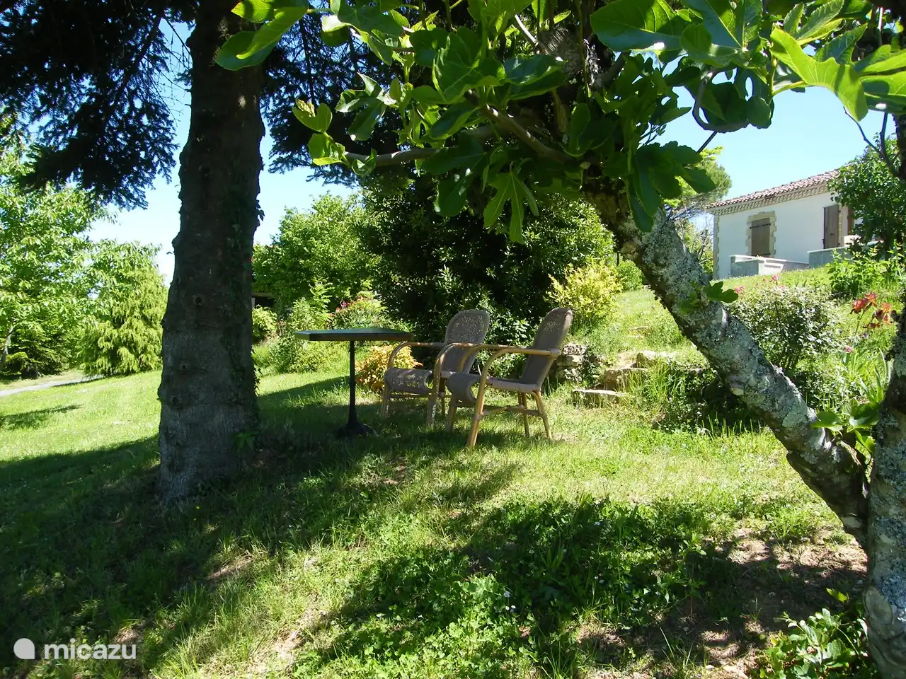 Schön im Schatten unter einem Baum