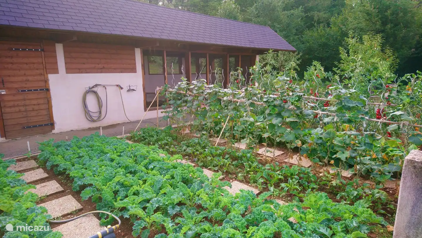 Bei ausreichender Ausbeute frisches Gemüse und Eier aus unserem Gemüsegarten.