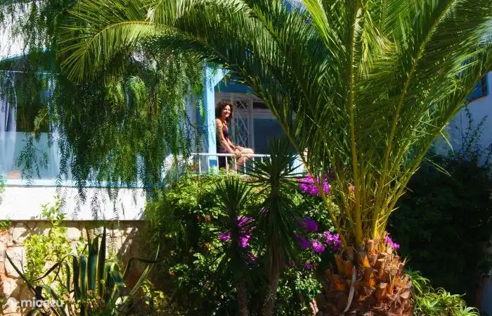 Die Vorderseite der Villa.