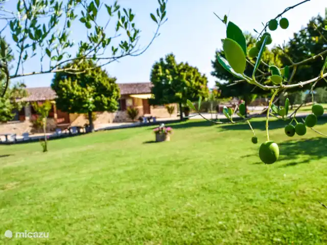 Todi, casa con piscina privada en Italia, Umbría, Todi - casa vacacional