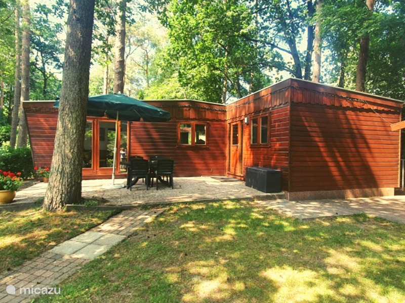Maison de Vacances Pays-Bas, Gueldre, Doornspijk Chalet Chalet dans la Nature - Pine Rhode