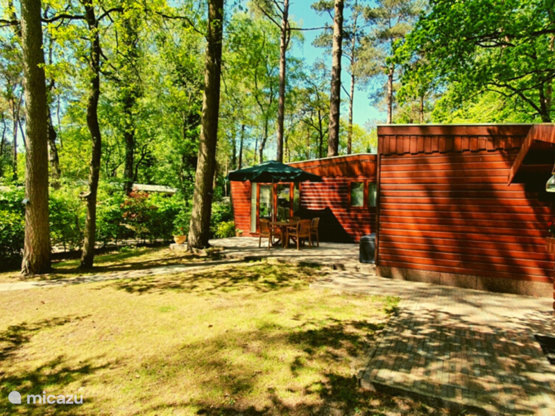 Maison de Vacances Pays-Bas, Gueldre, Doornspijk Chalet Chalet dans la Nature - Pine Rhode