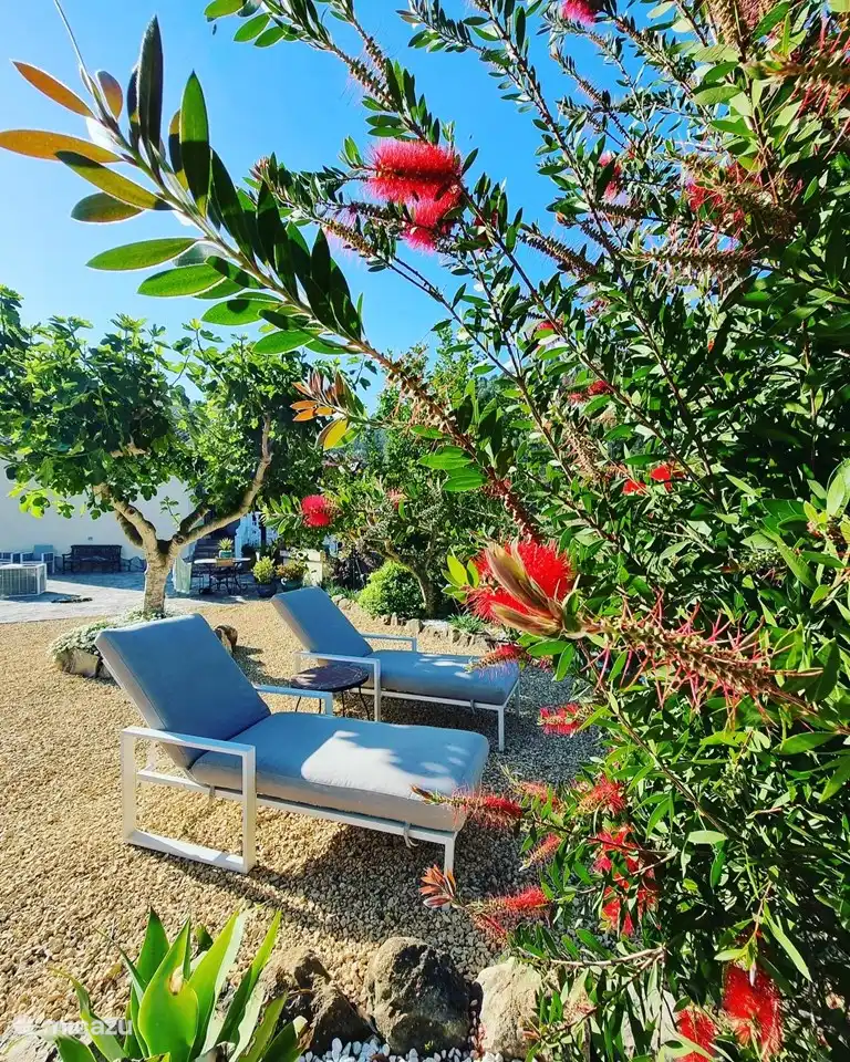 Celebrar sus vacaciones es relajarse en una de las 12 tumbonas 