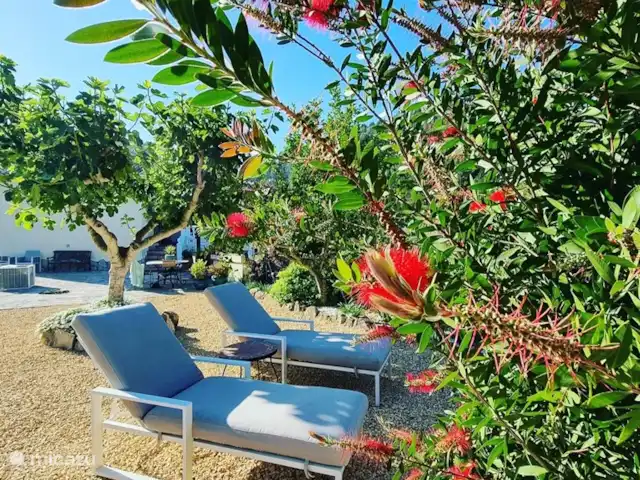 Villa Veni Vidi Vici, luxe villa huren in Spanje, Costa Blanca, Lliber - villa Vakantie vieren is relaxen op een van de 12 ligbedjes