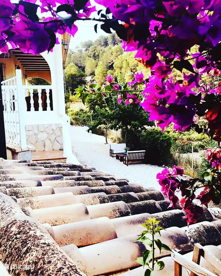 Rodeado de una hermosa naturaleza