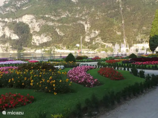 Location de Vacances Italie, Lac de Garde, Riva del Garda, appartement - Penthouse all'alba Splendeur florale avec vue sur le port de Riva Del garda