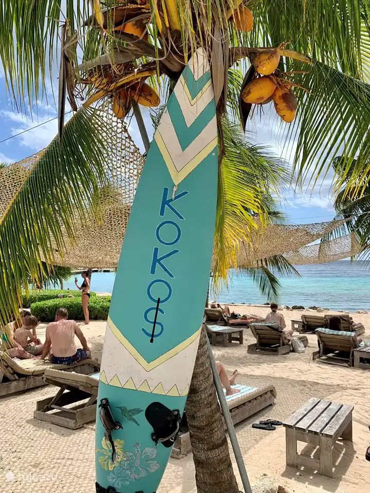 Voor het ultieme tropische gevoel ben je bij Koko's op de juiste plek! Hier merk je niets van de drukte van Jan Thiel en geniet je met volle tuigen van de Caribbean! 