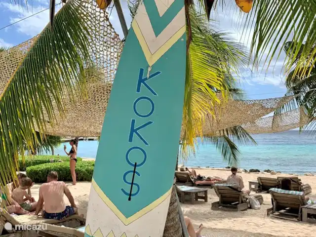Villa Camillia Residence huren in Curaçao, Banda Ariba (oost), Kwartje - villa Voor het ultieme tropische gevoel ben je bij Koko's op de juiste plek! Hier merk je niets van de drukte van Jan Thiel en geniet je met volle tuigen van de Caribbean!