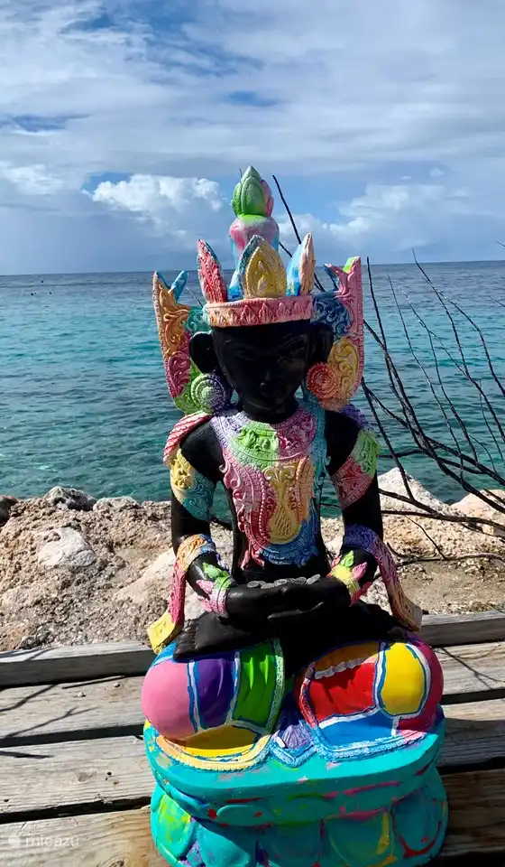 Tugboat is 1 van de mooiste snorkel en duikplekken van Curaçao . Je zwemt 50 meter en dan ligt er een wrak die is bedekt met koraal. Hier zwemmen de mooiste vissen. Ook bij de gezellige  hangout vind je ligbedden en terras. Kano varen of een kunstwerk maken van hout behoord ook tot de mogelijkheden.