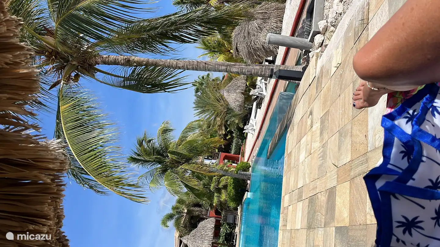 Zwembad voor de deur 