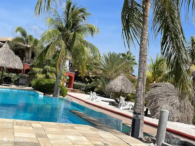 Vue sur l'eau espagnole Sun Flower Garden | Curaçao, Banda Ariba (est), Brakkeput Abou - appartement Piscine devant la porte