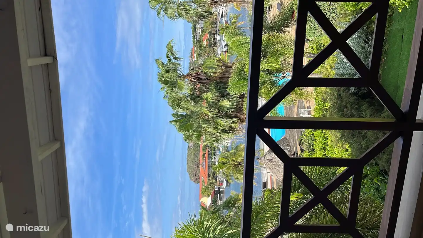 Uitkijk vanaf het balkon naar zwembad en spaanse water
