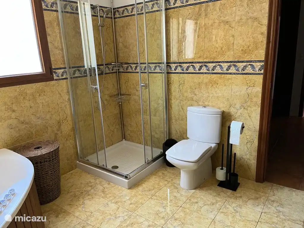salle de bain 1 douche et toilette