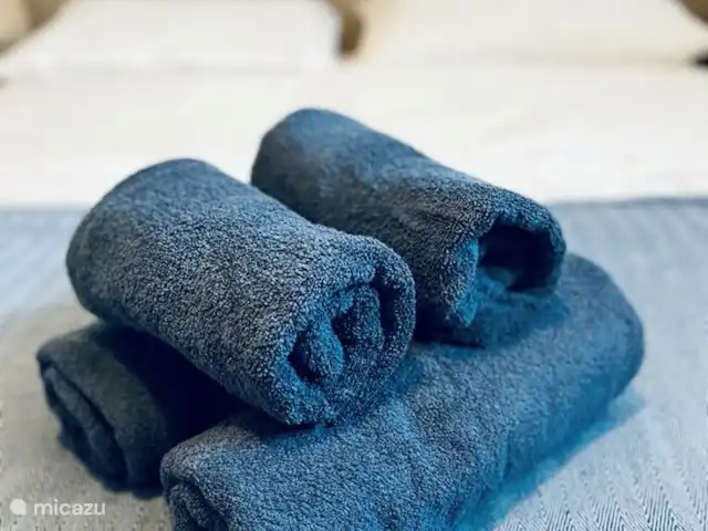 Villa Pasithéa | Grèce, Péloponnèse, Xiropigado - appartement les serviettes sont fournies pour nos clients