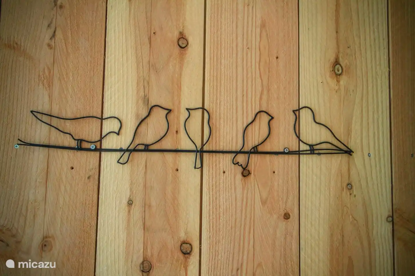 Draußen sind viele weitere Vögel.