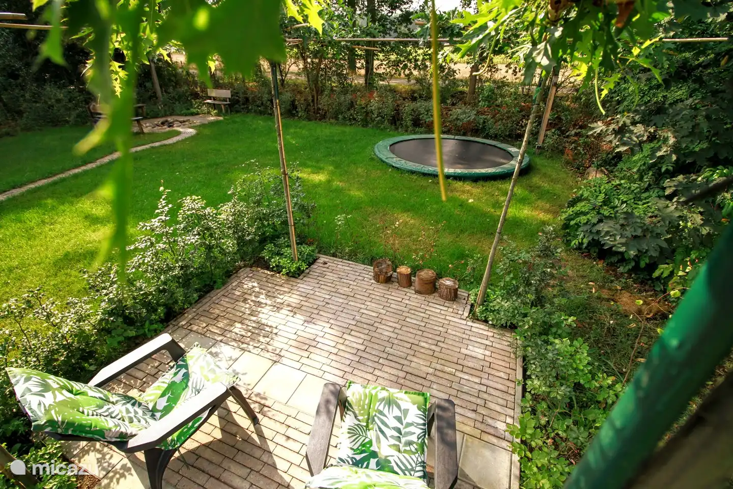 Köstlich unter den Sümpfen. Fügen Sie eine Tasse Kaffee hinzu und lassen Sie die Kinder auf das Trampolin springen. Wie entspannt