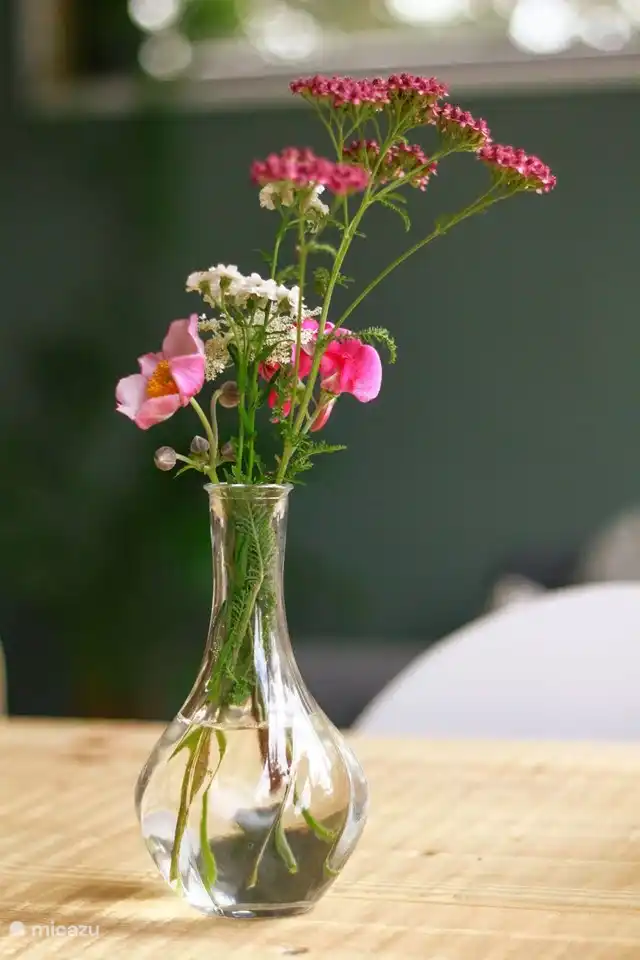 Eine Blume wartet bereits auf Sie. Viel mehr, aber trotzdem Blumen.