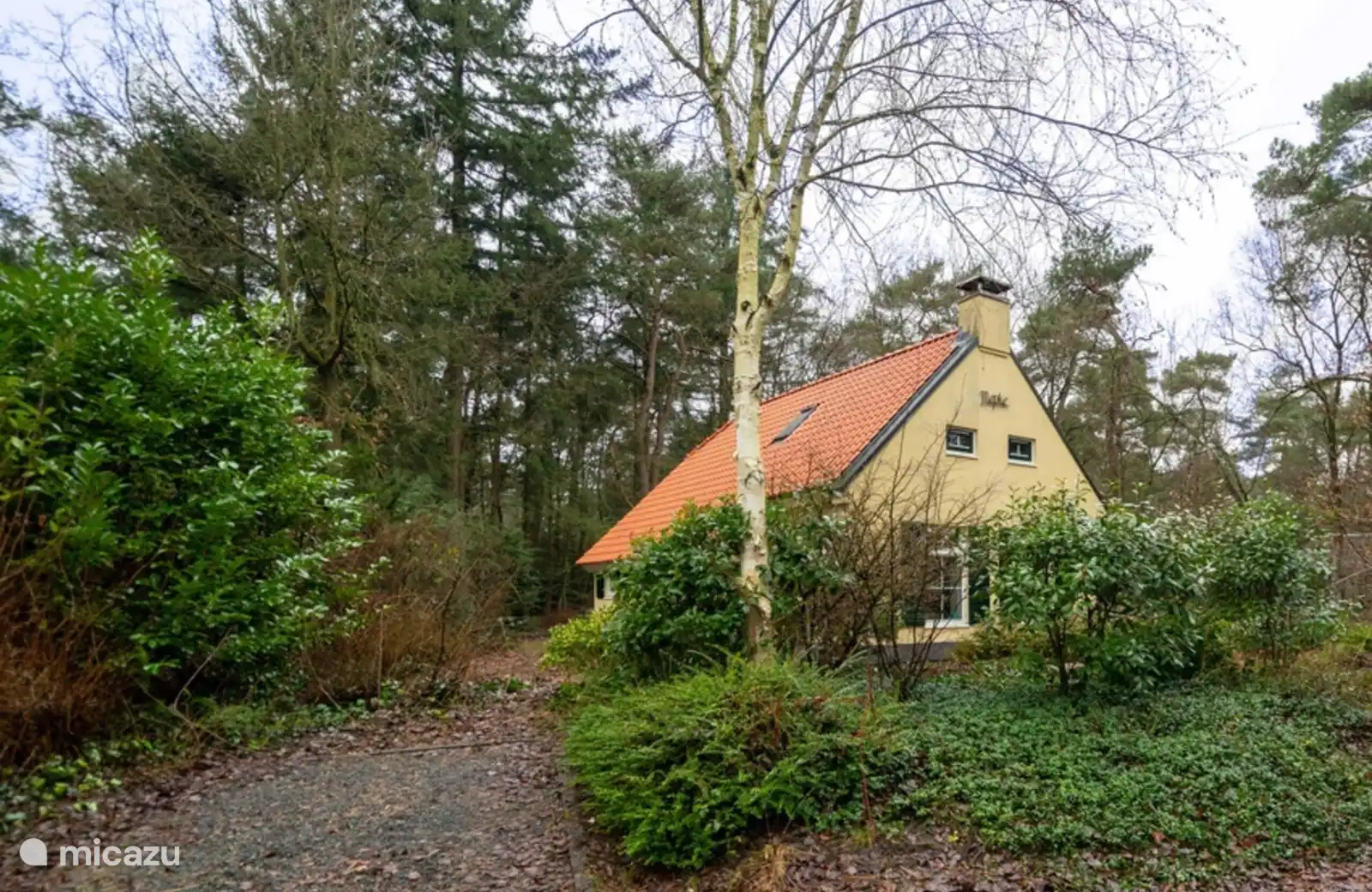 Ons huisje staat midden op het park maar tegenover de ingang naar het drents friese wold en omringd door een bostuin die zorgt voor heel veel privacy eekhoorns en vogels 