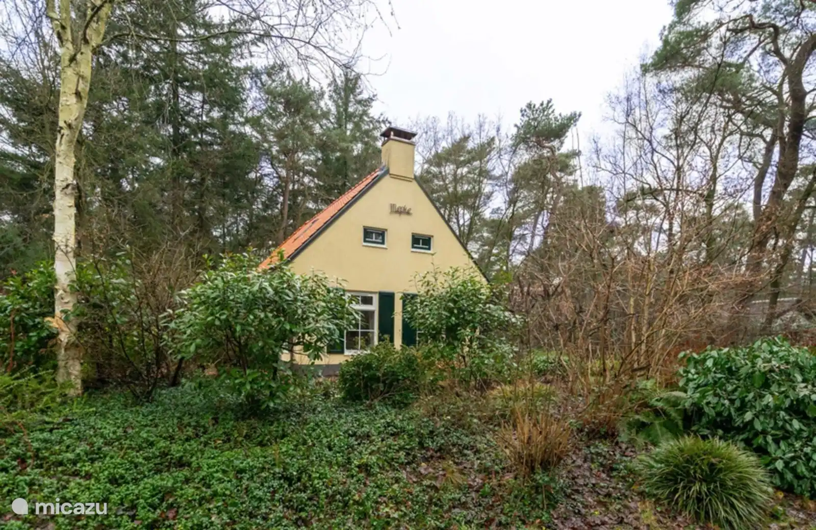 Volop privacy door de bos ligging