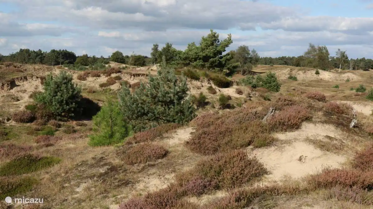 Prachtige natuurgebied Aekingerzand