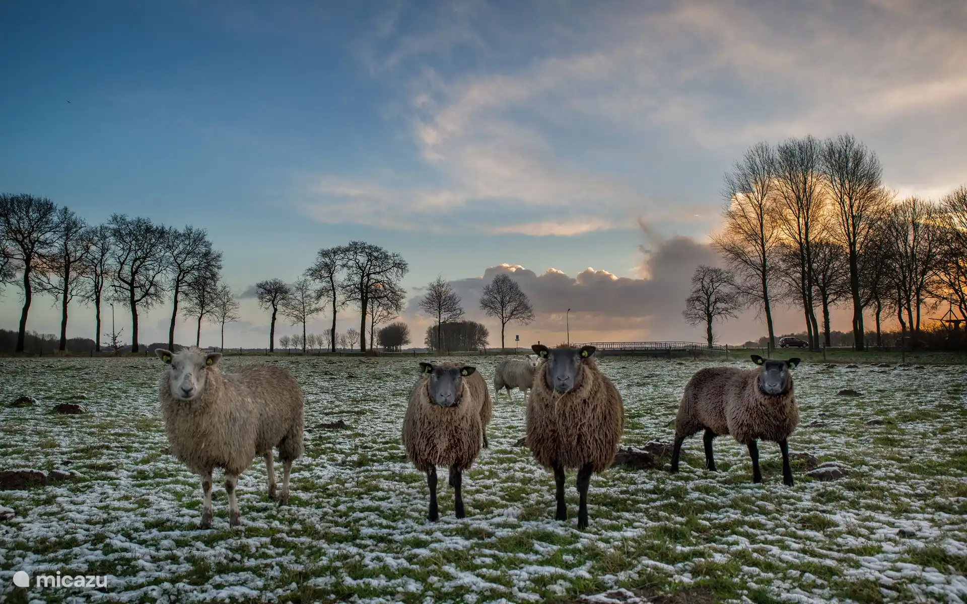 Overal om Diever heen is prachtige natuur te vinden voor mooie wandelingen of fietstochten