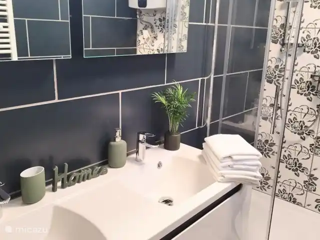 Location de Vacances Hongrie, Gyor-Moson-Sopron, Fertőrákos, tiny house - Petite maison supérieure avec cuisine bain