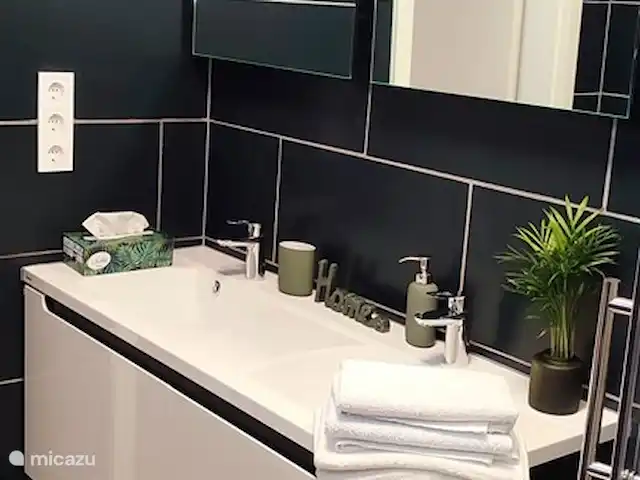 Location de Vacances Hongrie, Gyor-Moson-Sopron, Fertőrákos, tiny house - Petite maison supérieure avec cuisine bain