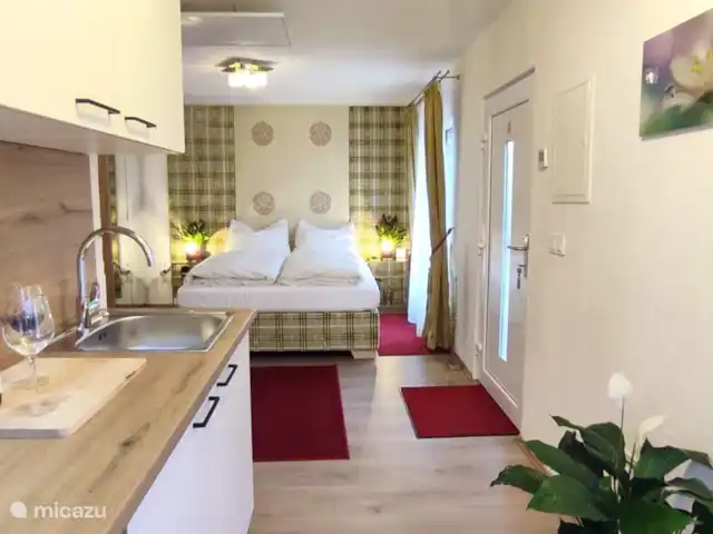 Location de Vacances Hongrie, Gyor-Moson-Sopron, Fertőrákos, tiny house - Petite maison supérieure avec cuisine Cuisine