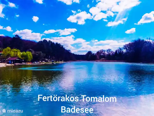 Location de Vacances Hongrie, Gyor-Moson-Sopron, Fertőrákos, tiny house - Petite maison supérieure avec cuisine Lac de baignade Tomalom à 5-10 min