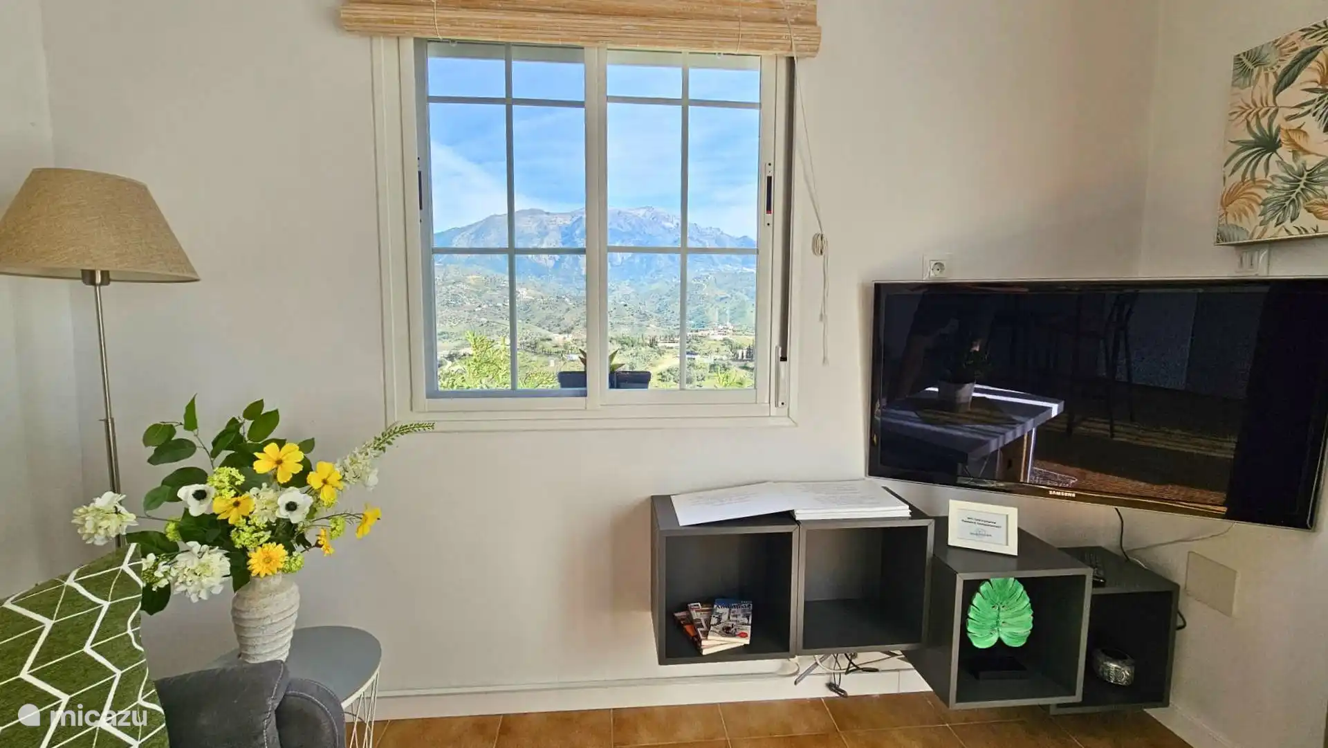 View from the living room