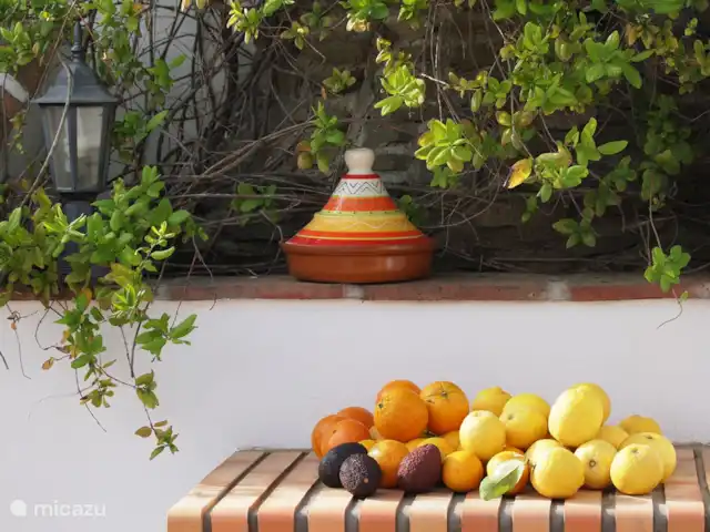 Casa Adriana | Espagne, Andalousie, Cómpeta - finca Récolte des fruits du jardin