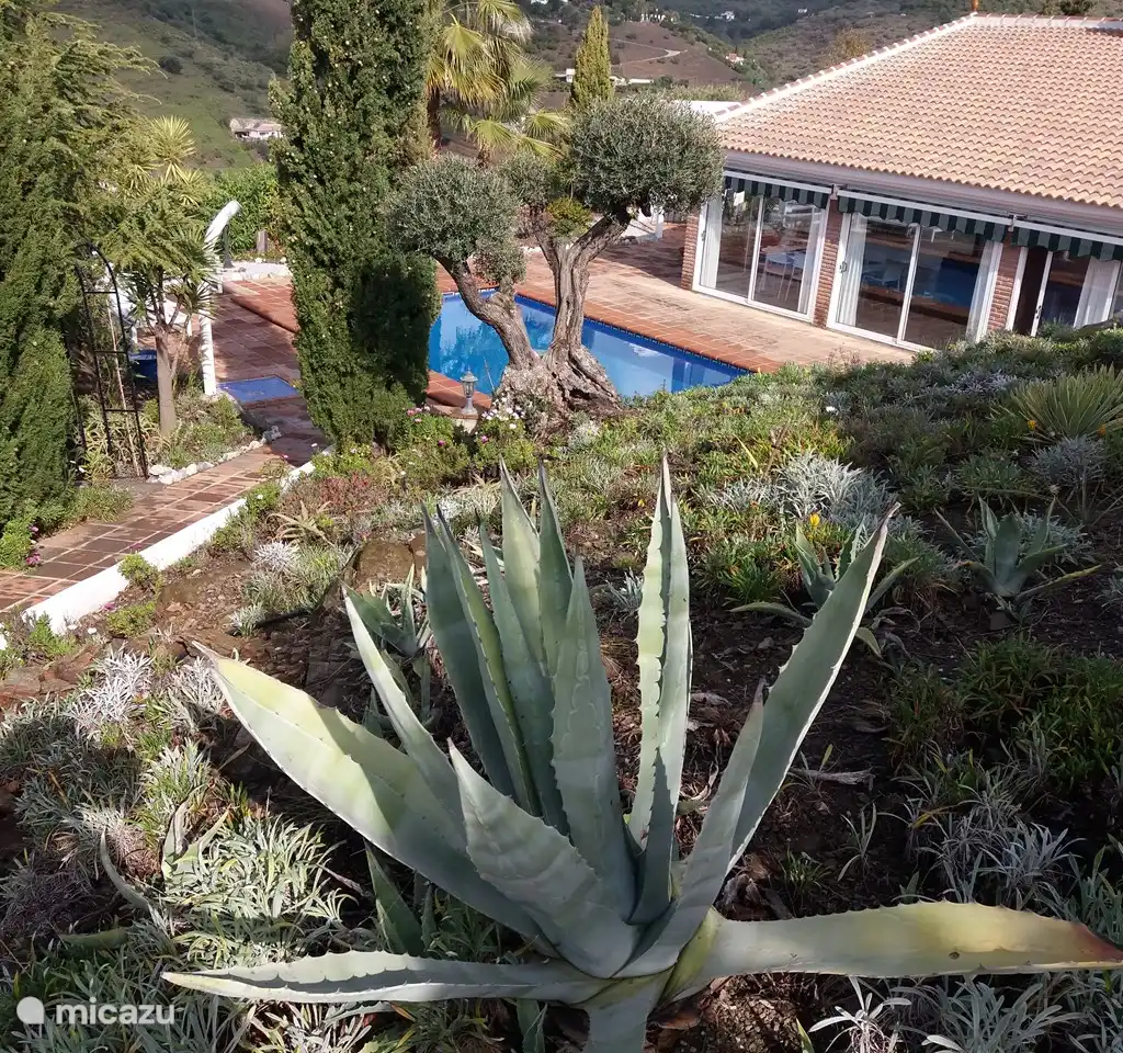 Casa Adriana