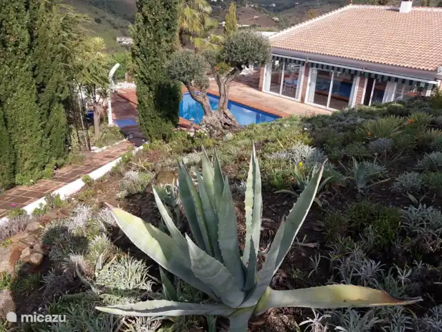 Casa Adriana | Espagne, Andalousie, Cómpeta - finca Vue de la terrasse