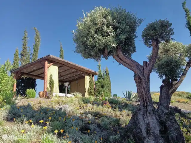 Casa Adriana | Espagne, Andalousie, Cómpeta - finca terrasse supérieure