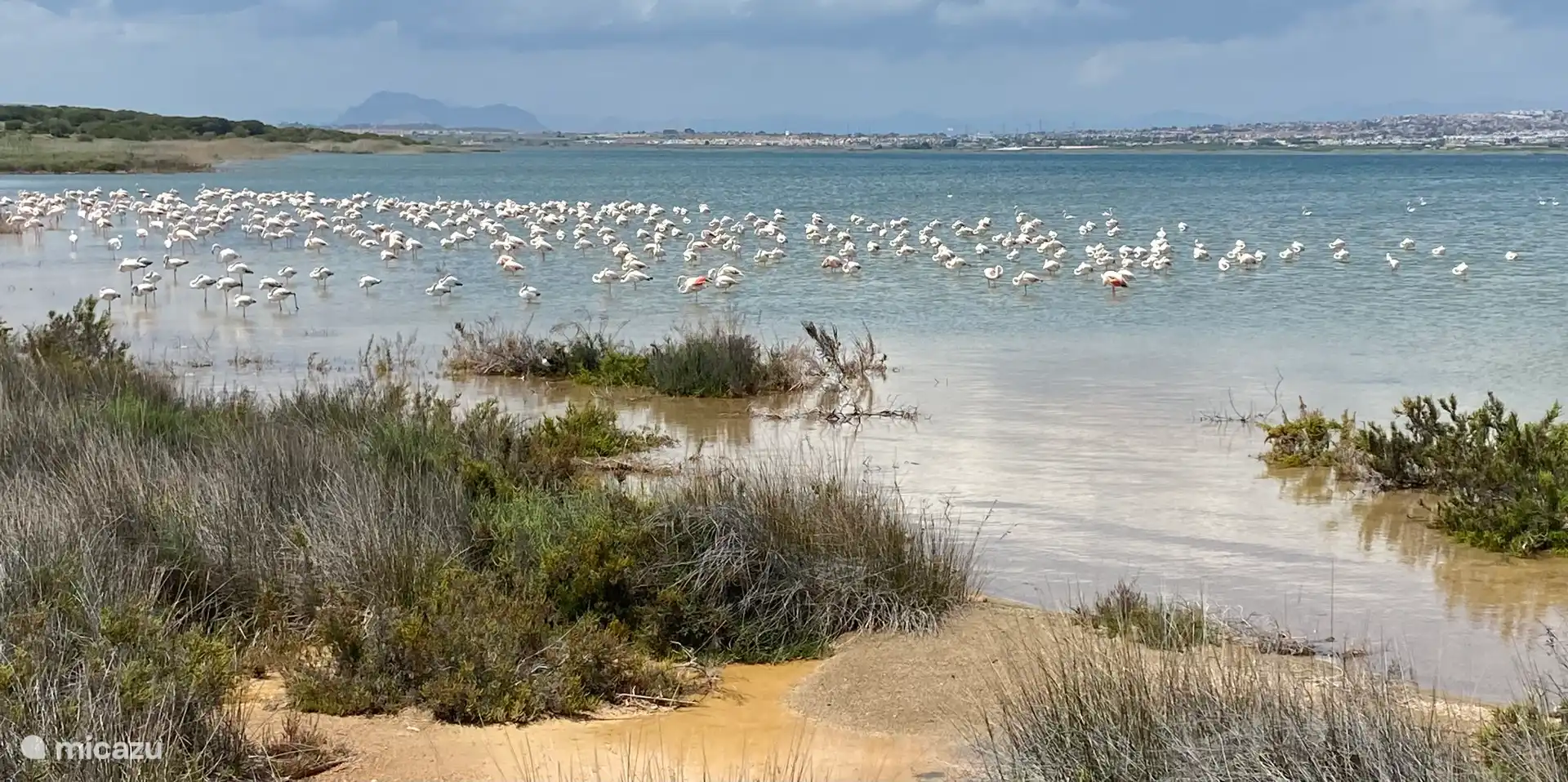 Prachtige wandeling in La Mata, met de broedplaats van flamingo’s 