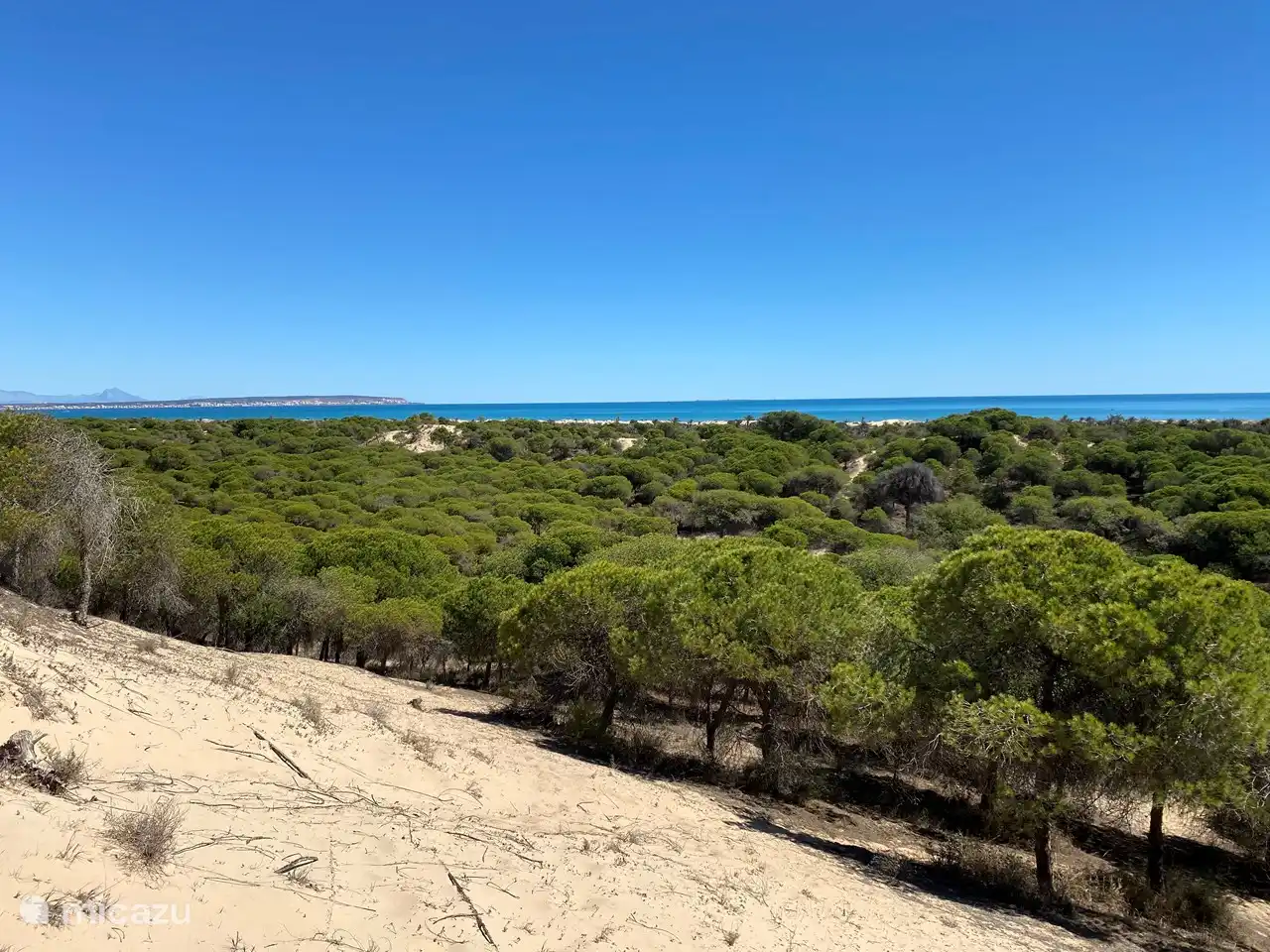 Wandelen in de natuur 