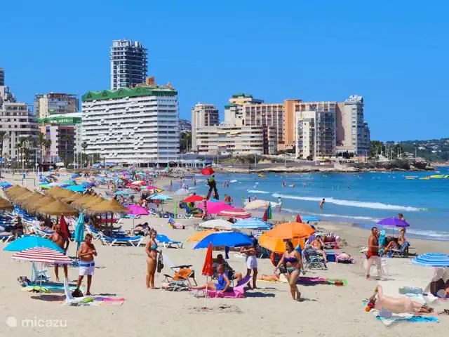 Real Ifach - Flore | Espagne, Costa Blanca, Calpe - appartement Impression photo : Plage de Calp